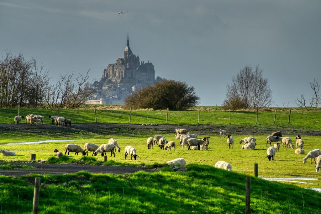 nuit gratuite en chambre d'hôtes près du mont saint michel